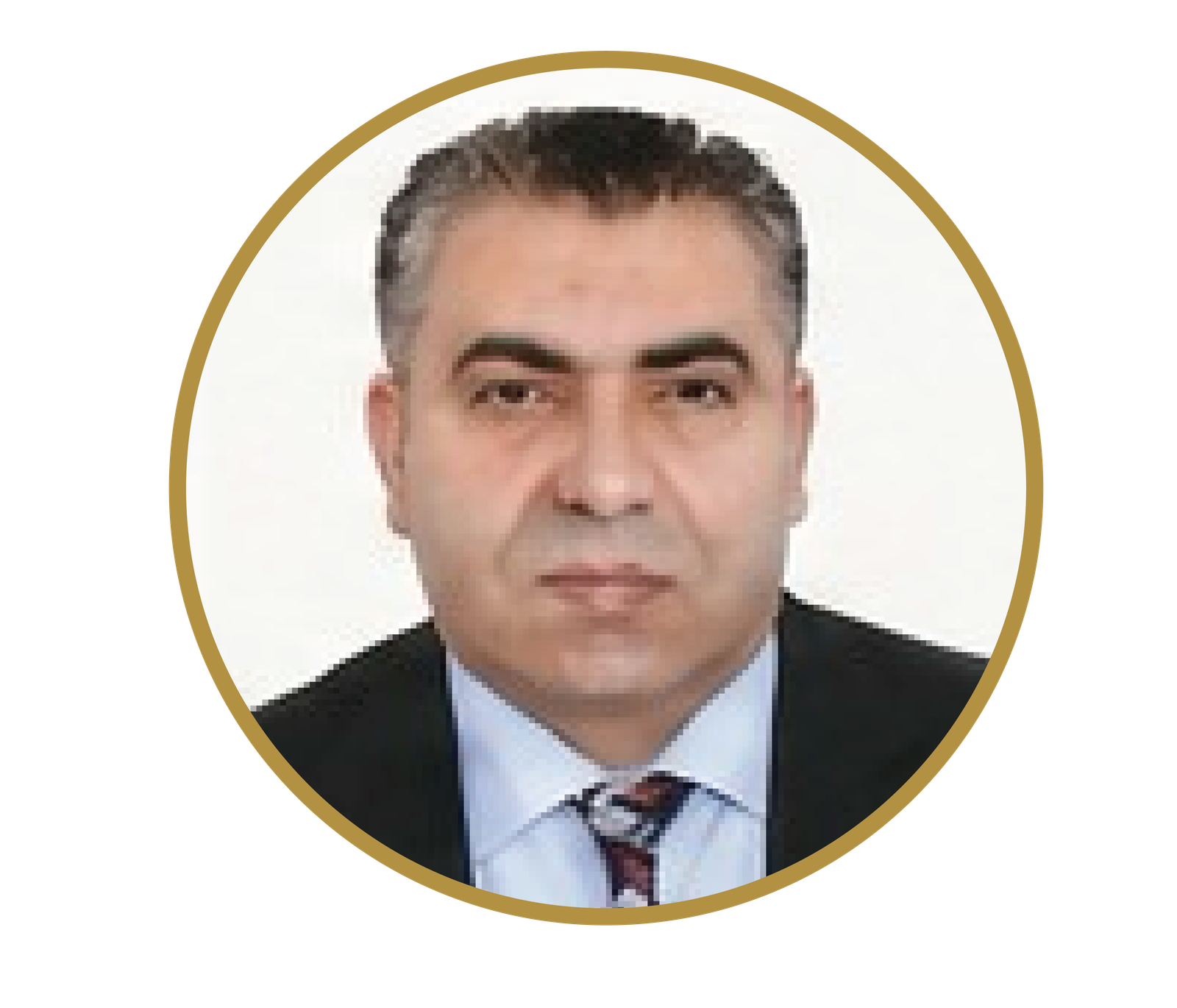الرئيس التنفيذي